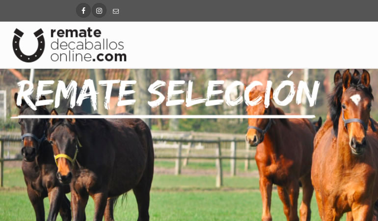 Plataforma de subastas de caballos online